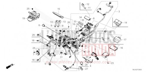 WIRE HARNESS CRF1100A3R de 2024